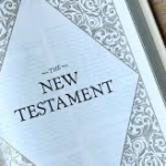 Spine of a New Testament bible